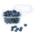 Контейнер для хранения, запекания, заморозки miFamilia 450 мл Nested collection (6033) квадратный